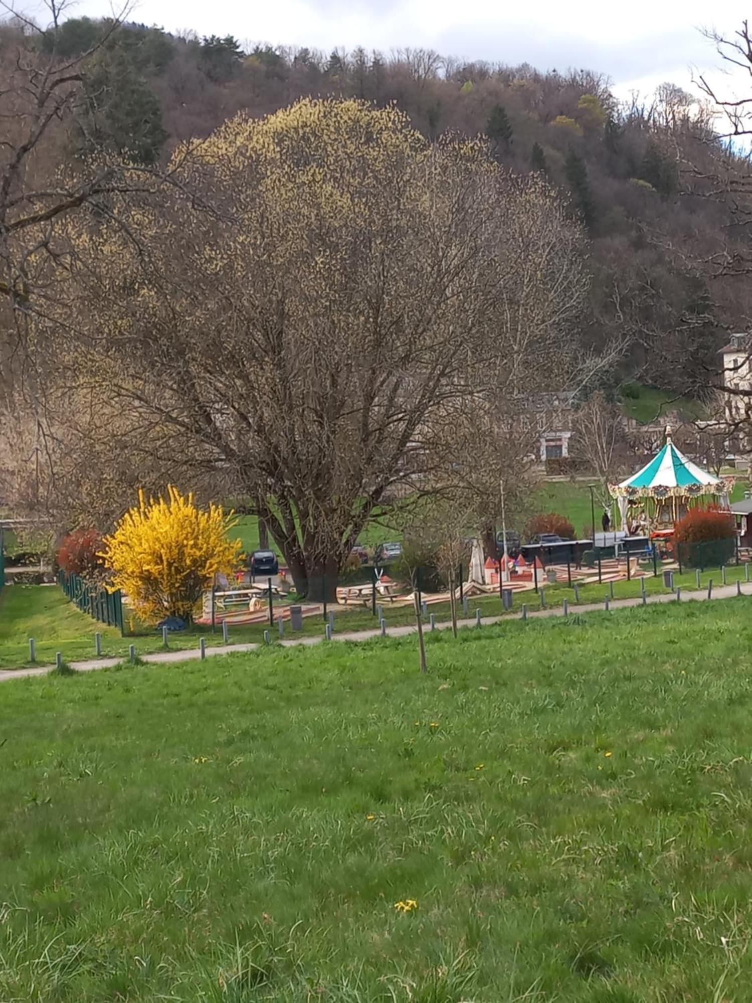 Residence Du Parc Saint-Martin-dʼUriage 外观 照片